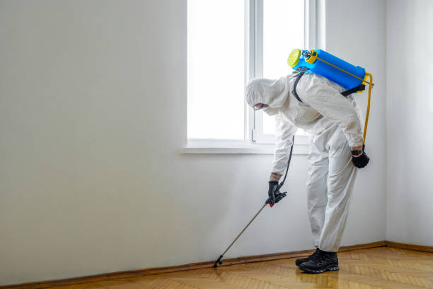 Best Termite Control Services  in Sarasota, FL
