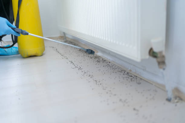 Best Pest Control Near Me  in Sarasota, FL